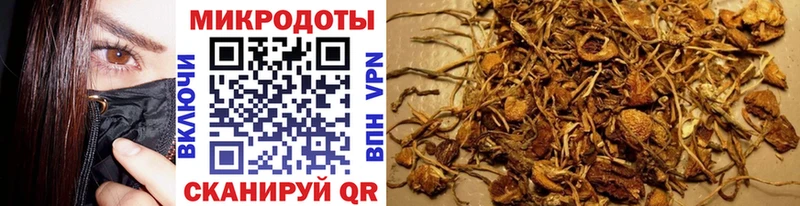 Галлюциногенные грибы мицелий сколько стоит Каменногорск